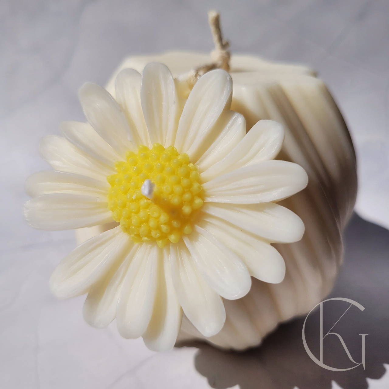 DAISY TWIST