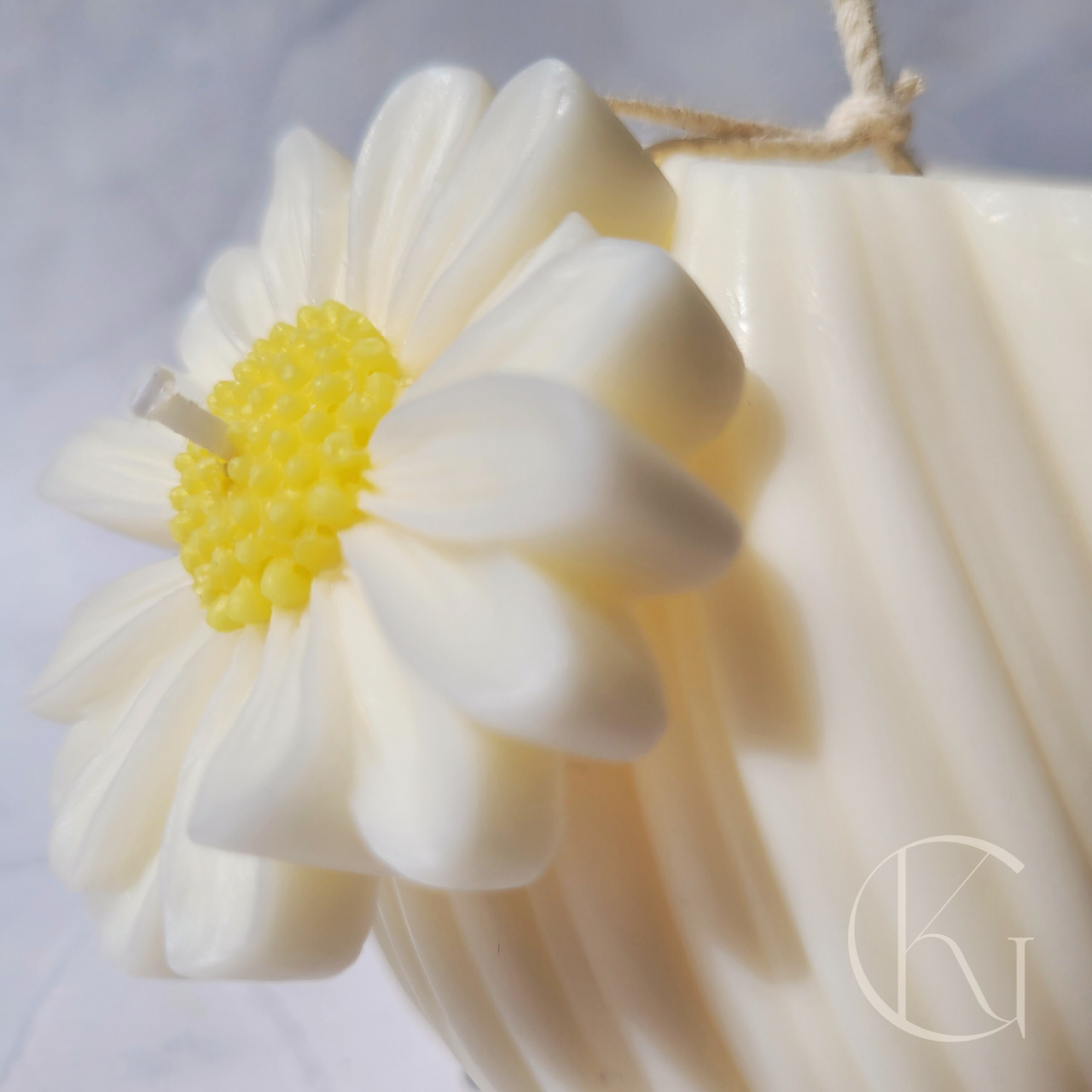 DAISY TWIST