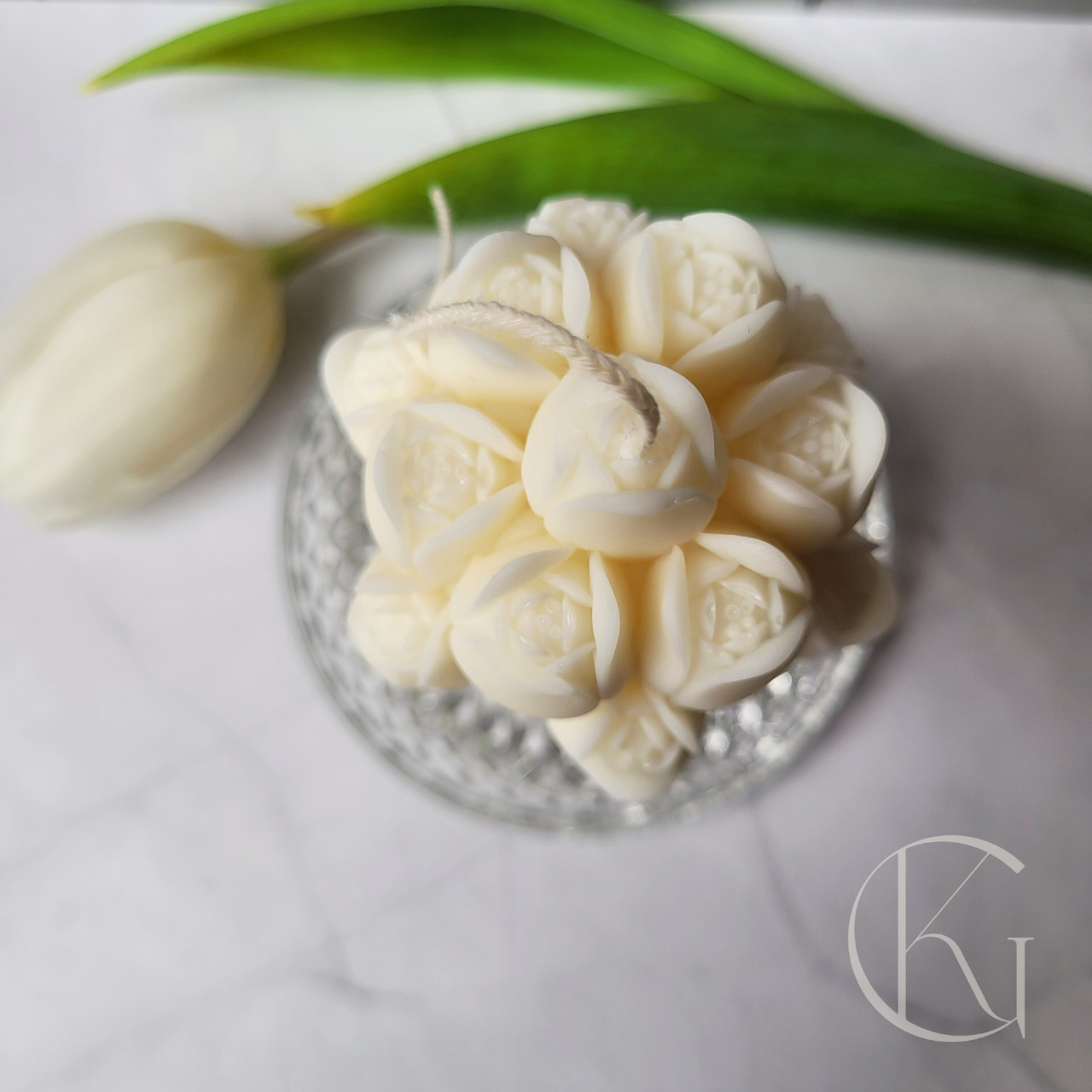 BOSJE TULPEN